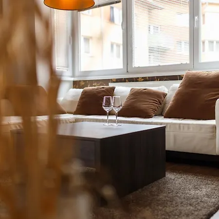 Modern With 2 Bedrooms Karlovy Vary